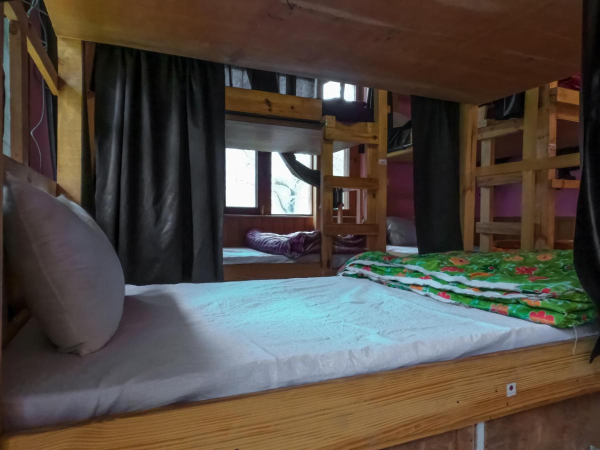 Indian Backpackers Hostel Manāli Extérieur photo